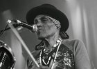 Royal Southern Brotherhood : Mike Zito (guitare, chant), Devon Allman (guitare, chant), Cyril Neville (percussions, chant), Charlie Wooten (basse), Yonrico Scott (batterie)