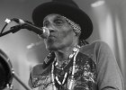 Royal Southern Brotherhood : Mike Zito (guitare, chant), Devon Allman (guitare, chant), Cyril Neville (percussions, chant), Charlie Wooten (basse), Yonrico Scott (batterie)