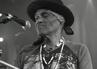 Royal Southern Brotherhood : Mike Zito (guitare, chant), Devon Allman (guitare, chant), Cyril Neville (percussions, chant), Charlie Wooten (basse), Yonrico Scott (batterie)