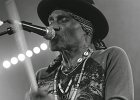 Royal Southern Brotherhood : Mike Zito (guitare, chant), Devon Allman (guitare, chant), Cyril Neville (percussions, chant), Charlie Wooten (basse), Yonrico Scott (batterie)