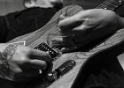 Royal Southern Brotherhood : Mike Zito (guitare, chant), Devon Allman (guitare, chant), Cyril Neville (percussions, chant), Charlie Wooten (basse), Yonrico Scott (batterie)