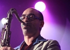 20121111-IMG 2215  T. Bo and the B. Boppers (région Aquitaine)