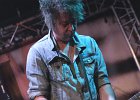 Little Bob Blues Bastards