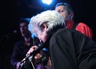 Little Bob Blues Bastards