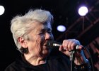 Little Bob Blues Bastards