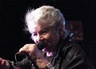 Little Bob Blues Bastards