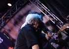 Little Bob Blues Bastards