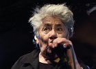 Little Bob Blues Bastards