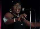 John Primer (guitare et chant), Billy Flynn (guitare et chant), Peaches Staten (chant), Bob Corritore (harmonica), Melvin Smith (basse), Willie &#34;The Touch&#34; Hayes (batterie)