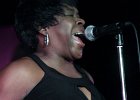 John Primer (guitare et chant), Billy Flynn (guitare et chant), Peaches Staten (chant), Bob Corritore (harmonica), Melvin Smith (basse), Willie &#34;The Touch&#34; Hayes (batterie)