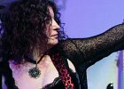 Lise Hanick (chant, guitare), Michel Sanchez (basse), Julien Audigier (batterie)