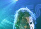 Jesus Volt : Lord Tracy (voix, harmonica), El Tao (guitare), Fuzzy Bear (basse) and  Holy Bear (batterie)
