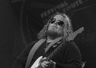 Bart Walker  (guitare, chant)
