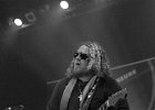 Bart Walker  (guitare, chant)