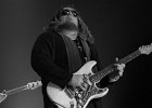 Bart Walker  (guitare, chant)