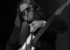 Bart Walker  (guitare, chant)