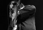 Bart Walker  (guitare, chant)