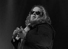 Bart Walker  (guitare, chant)