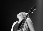Joanne Shaw Taylor (guitare, chant)