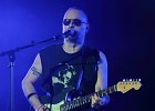 Peter Nathanson  (guitare, chant), Fritz Patole (batterie), Jean-Philippe Roux (basse)