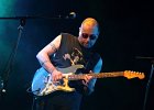 Peter Nathanson  (guitare, chant), Fritz Patole (batterie), Jean-Philippe Roux (basse)