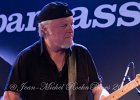 IMG 1029  Tom PRINCIPATO (chant,  guitare), Fred CHAPELLIER ( chant, guitare), Renaud CUGNY (orgue Hammond, piano), Abder BENACHOUR ( basse), Denis PALATIN (batterie)