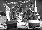 IMG 1048  Tom PRINCIPATO (chant,  guitare), Fred CHAPELLIER ( chant, guitare), Renaud CUGNY (orgue Hammond, piano), Abder BENACHOUR ( basse), Denis PALATIN (batterie)