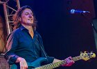 Reverend Black Network  avec Lionel Raynal aka Le Reverend (chant, guitare), Patrick Baldran (guitare), Patrice Pillon (batterie) et Bruno Maurin (basse)