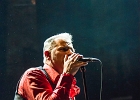 The Shaggy Dogs : Red (chant et harmonica), Guillermo (batterie), Jacker (guitare) et Toma (basse)