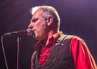 The Shaggy Dogs : Red (chant et harmonica), Guillermo (batterie), Jacker (guitare) et Toma (basse)