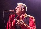 The Shaggy Dogs : Red (chant et harmonica), Guillermo (batterie), Jacker (guitare) et Toma (basse)