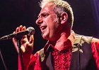 The Shaggy Dogs : Red (chant et harmonica), Guillermo (batterie), Jacker (guitare) et Toma (basse)