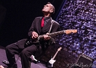 The Shaggy Dogs : Red (chant et harmonica), Guillermo (batterie), Jacker (guitare) et Toma (basse)