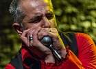 The Shaggy Dogs : Red (chant et harmonica), Guillermo (batterie), Jacker (guitare) et Toma (basse)