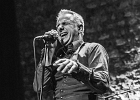 The Shaggy Dogs : Red (chant et harmonica), Guillermo (batterie), Jacker (guitare) et Toma (basse)