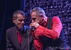 The Shaggy Dogs : Red (chant et harmonica), Guillermo (batterie), Jacker (guitare) et Toma (basse)