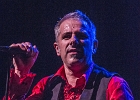 The Shaggy Dogs : Red (chant et harmonica), Guillermo (batterie), Jacker (guitare) et Toma (basse)