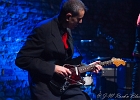 The Shaggy Dogs : Red (chant et harmonica), Guillermo (batterie), Jacker (guitare) et Toma (basse)
