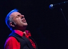 The Shaggy Dogs : Red (chant et harmonica), Guillermo (batterie), Jacker (guitare) et Toma (basse)