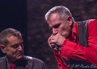 The Shaggy Dogs : Red (chant et harmonica), Guillermo (batterie), Jacker (guitare) et Toma (basse)
