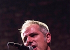 The Shaggy Dogs : Red (chant et harmonica), Guillermo (batterie), Jacker (guitare) et Toma (basse)