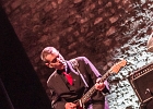 The Shaggy Dogs : Red (chant et harmonica), Guillermo (batterie), Jacker (guitare) et Toma (basse)