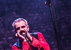 The Shaggy Dogs : Red (chant et harmonica), Guillermo (batterie), Jacker (guitare) et Toma (basse)