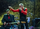 The Shaggy Dogs : Red (chant et harmonica), Guillermo (batterie), Jacker (guitare) et Toma (basse)