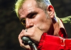 The Shaggy Dogs : Red (chant et harmonica), Guillermo (batterie), Jacker (guitare) et Toma (basse)