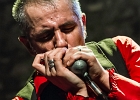 The Shaggy Dogs : Red (chant et harmonica), Guillermo (batterie), Jacker (guitare) et Toma (basse)