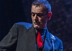 The Shaggy Dogs : Red (chant et harmonica), Guillermo (batterie), Jacker (guitare) et Toma (basse)