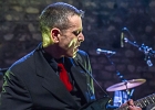 The Shaggy Dogs : Red (chant et harmonica), Guillermo (batterie), Jacker (guitare) et Toma (basse)