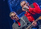 The Shaggy Dogs : Red (chant et harmonica), Guillermo (batterie), Jacker (guitare) et Toma (basse)