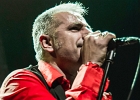 The Shaggy Dogs : Red (chant et harmonica), Guillermo (batterie), Jacker (guitare) et Toma (basse)